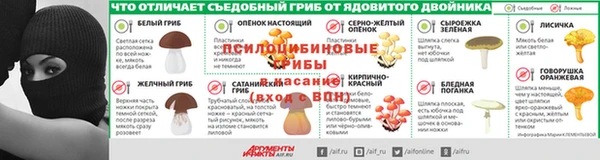 шишки Новозыбков
