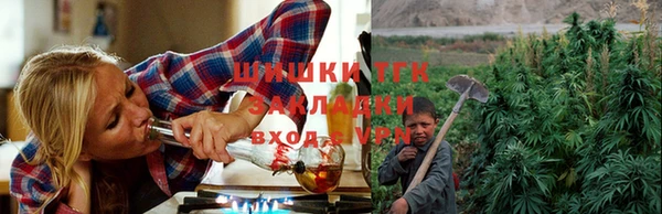 шишки Новозыбков