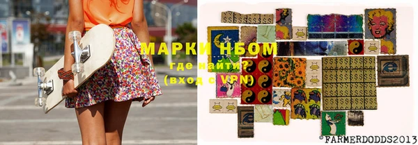 шишки Новозыбков