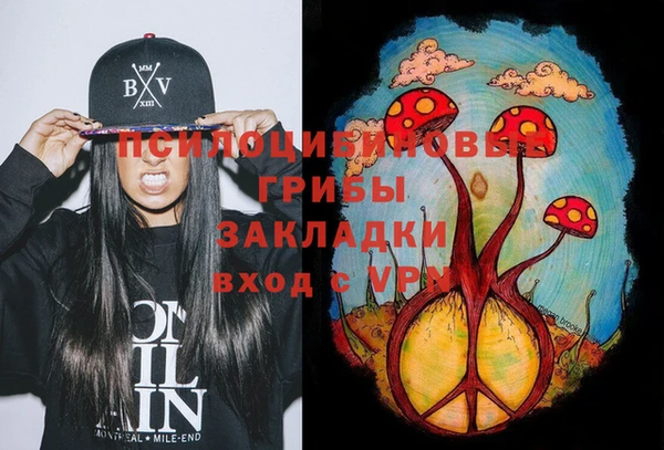 mix Новодвинск