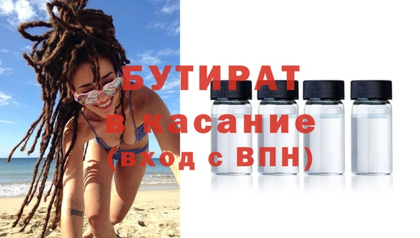 шишки Новозыбков